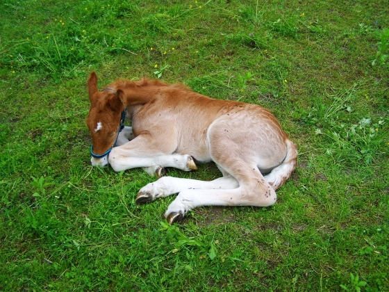 Munka és pihenő