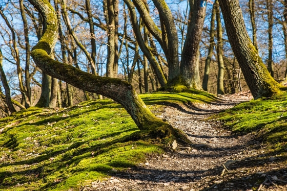 gyermekvállalás gyed mellett